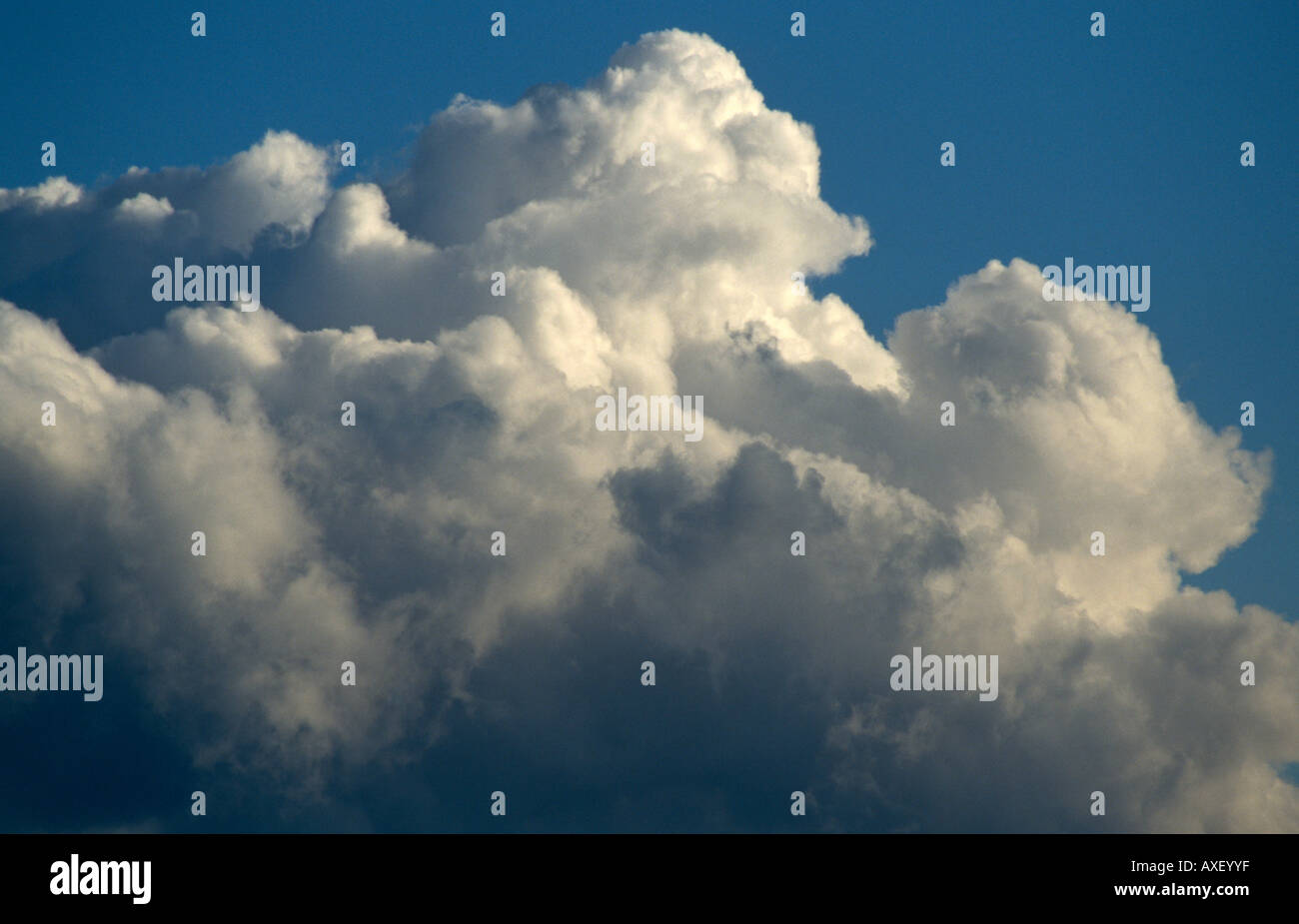Cumulonimbus Clouds and Blue Sky, above Surrey, England, UK Stock Photo