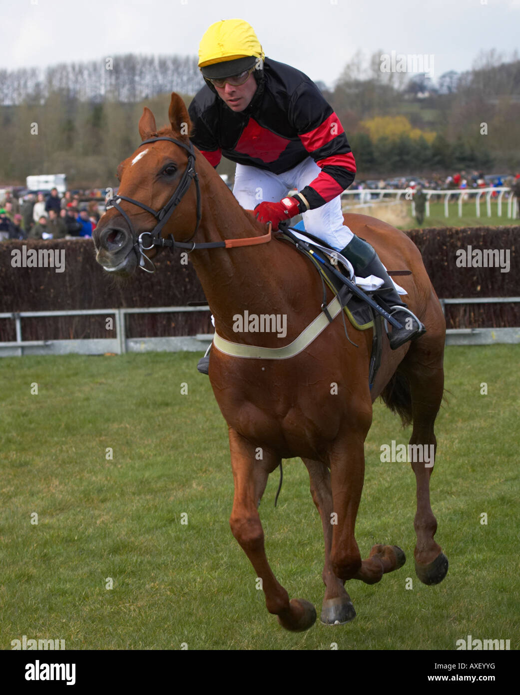Paxford, north cotswold point to point Stock Photo Alamy