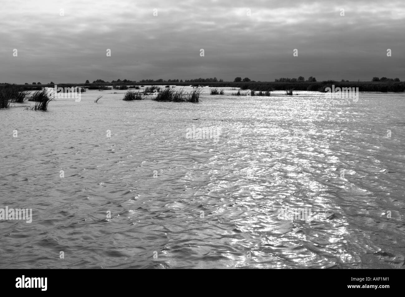 Delta (outfall) of Volga river (Russia Stock Photo Alamy