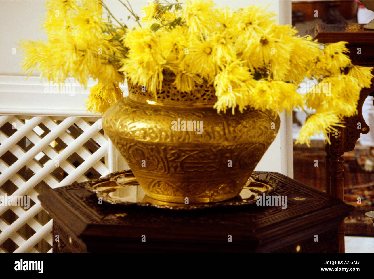 Lebanon Yellow Flowers in Antique Islamic Vase with Calligraphy Stock