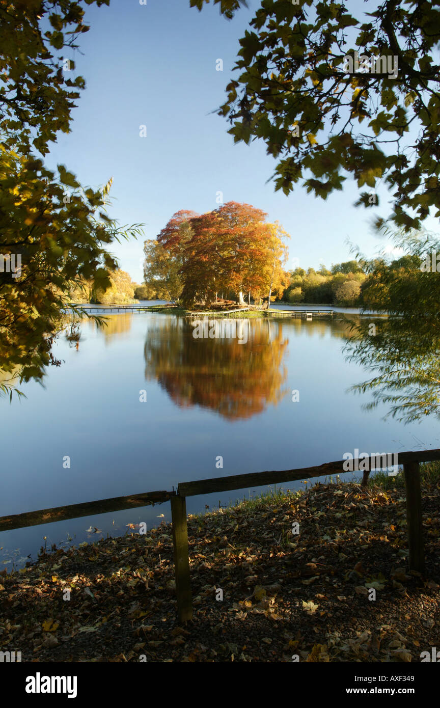 Trees on a small island in autumn in the middle of a calm lake Stock ...