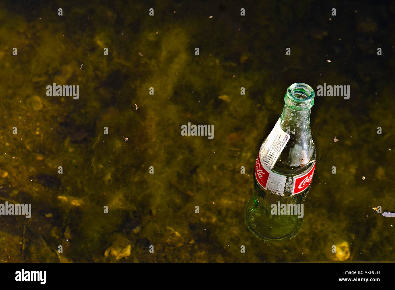 Closeup of an empty soda bottle floating in a dirty weed covered canal
