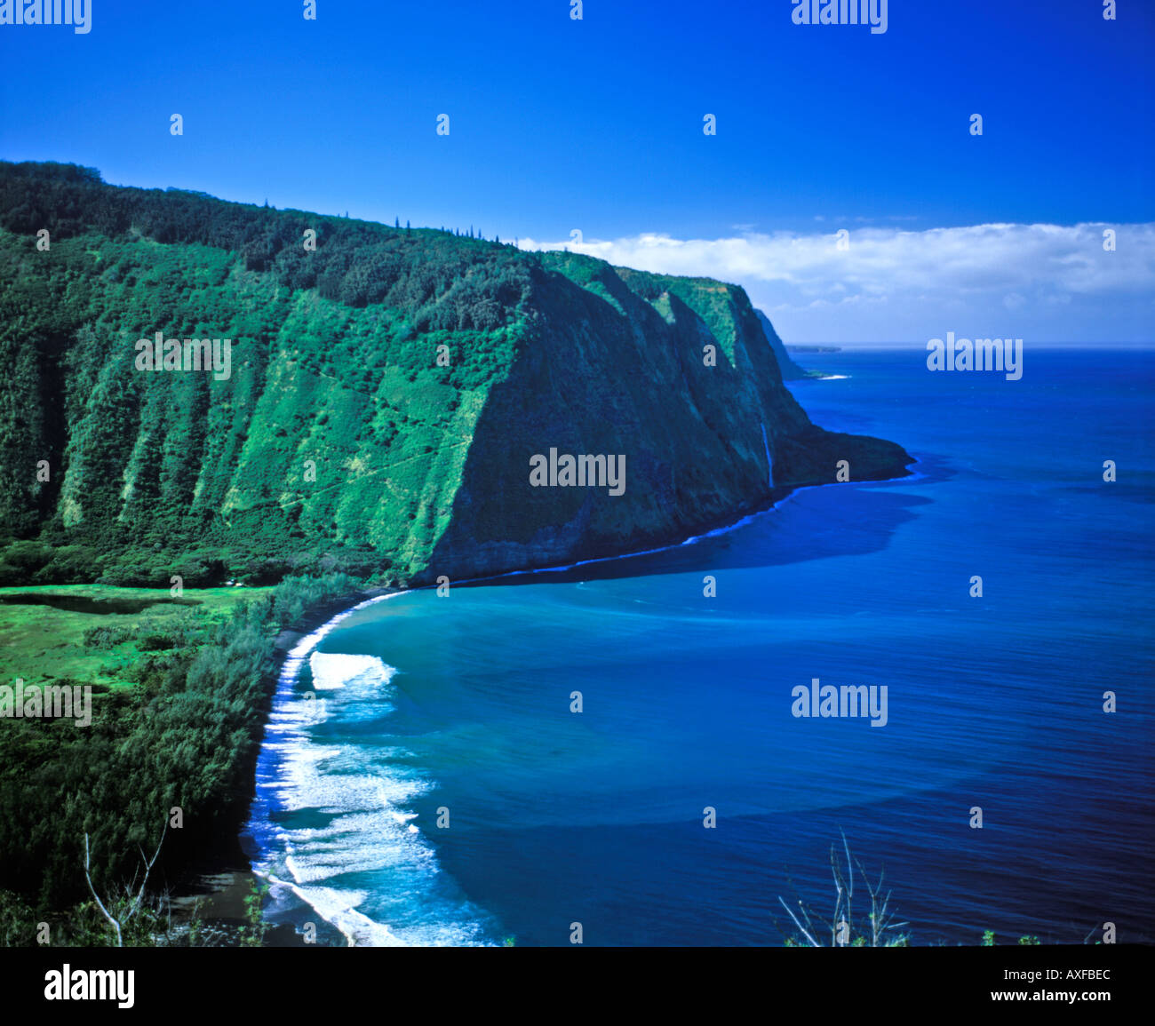 waipio valley and beach hawaii Stock Photo Alamy