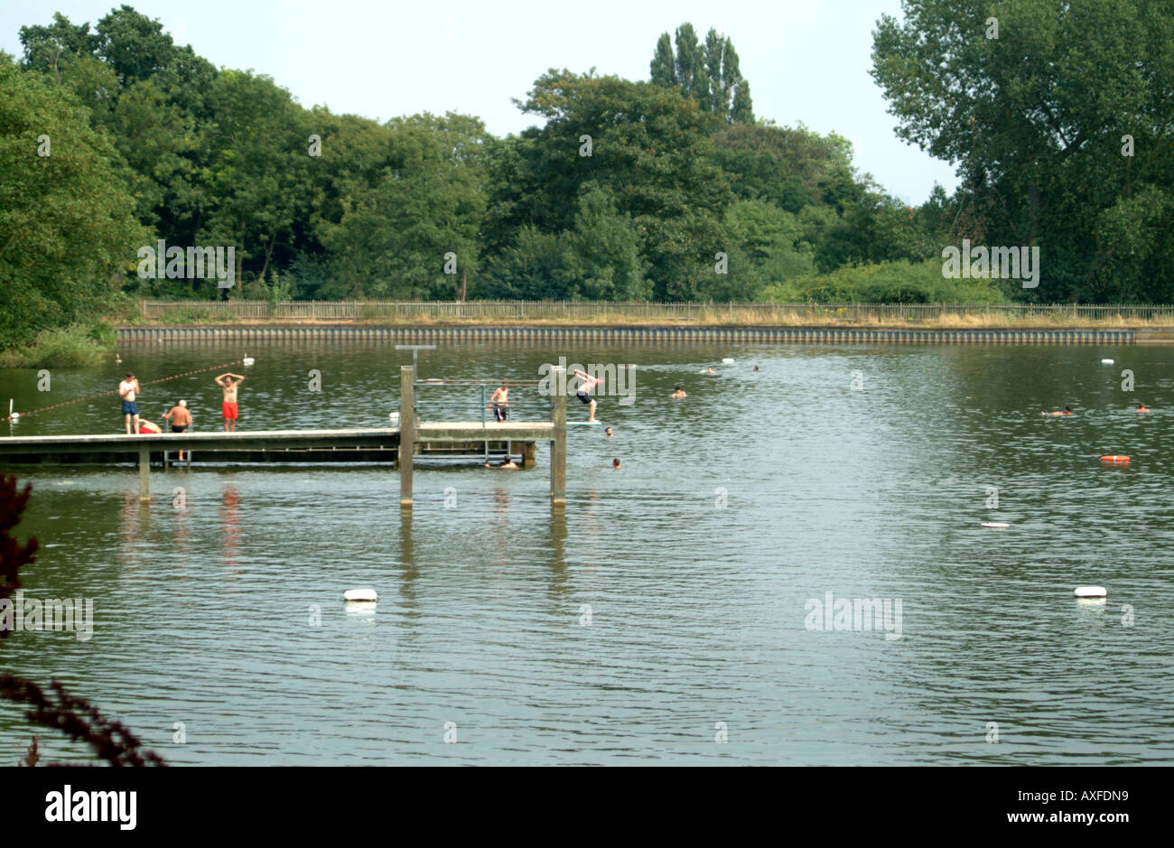 Swimmers at the Mixed Bathing Pond on Hampstead Heath London Stock