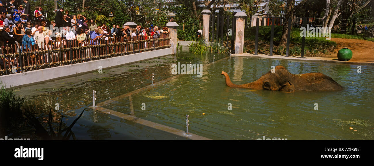Melbourne Zoo elephant enclosure Melbourne Victoria Australia