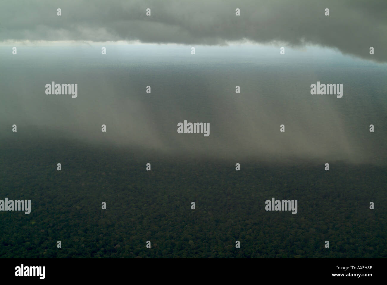 Rainforest Storm From Air Amazonian Rainforest Yavari Valley Loreto