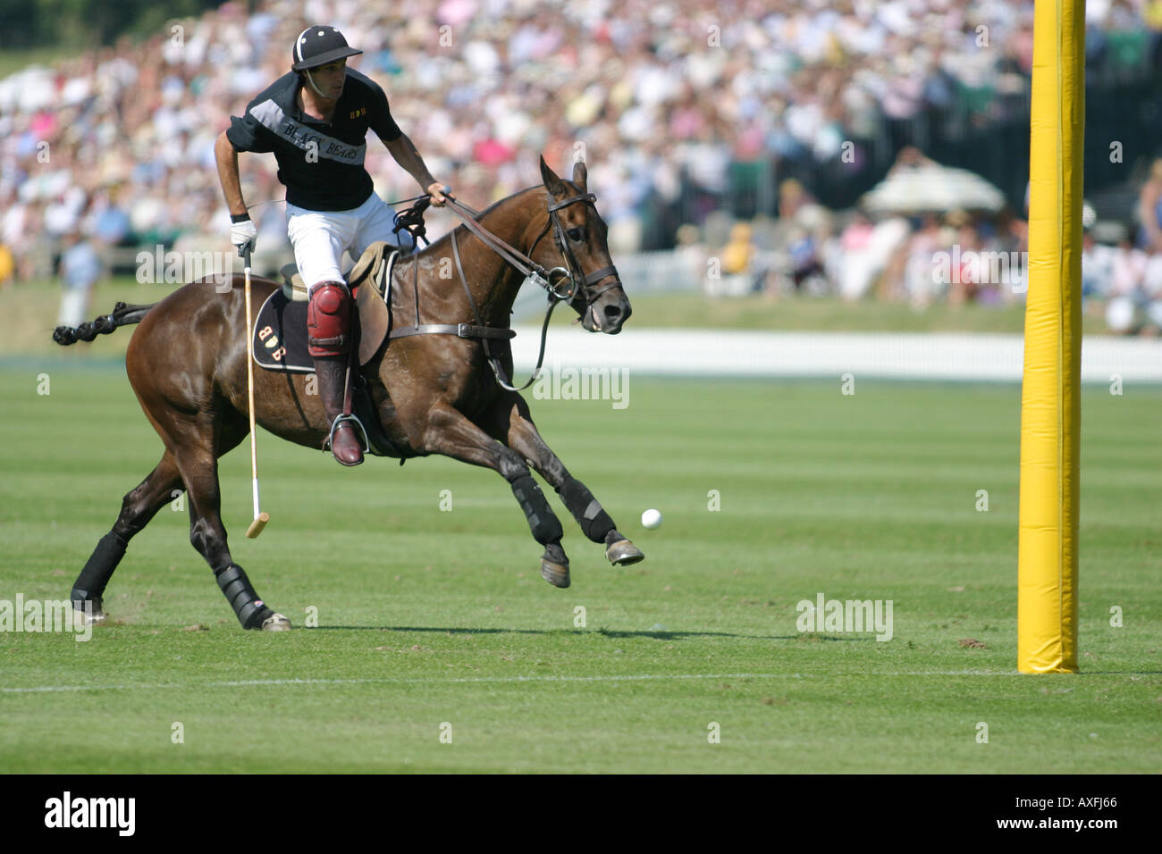 polo club palermo black
