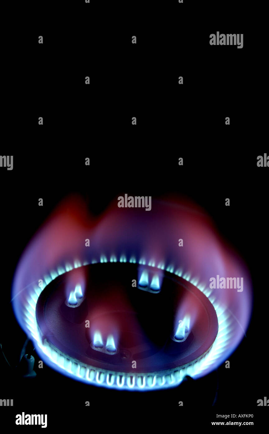blue gas hob flame Stock Photo Alamy