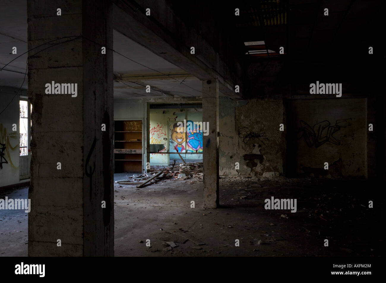 Graffiti in a brownfield site factory, at Vichy (France). Graffiti dans