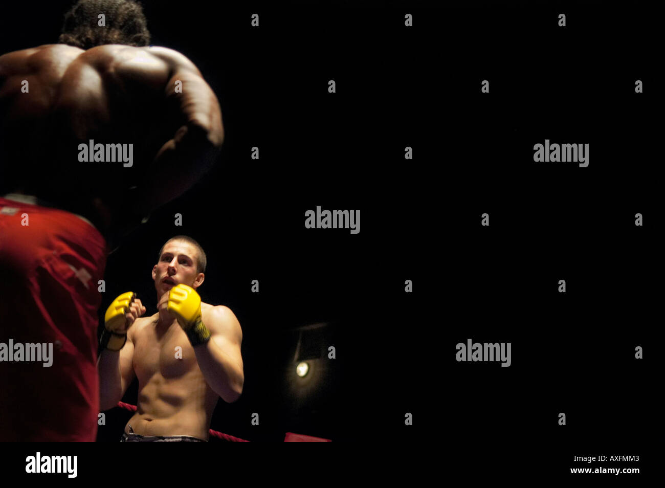 Ultimate Fighting is a mixed martial arts style of fighting Stock Photo