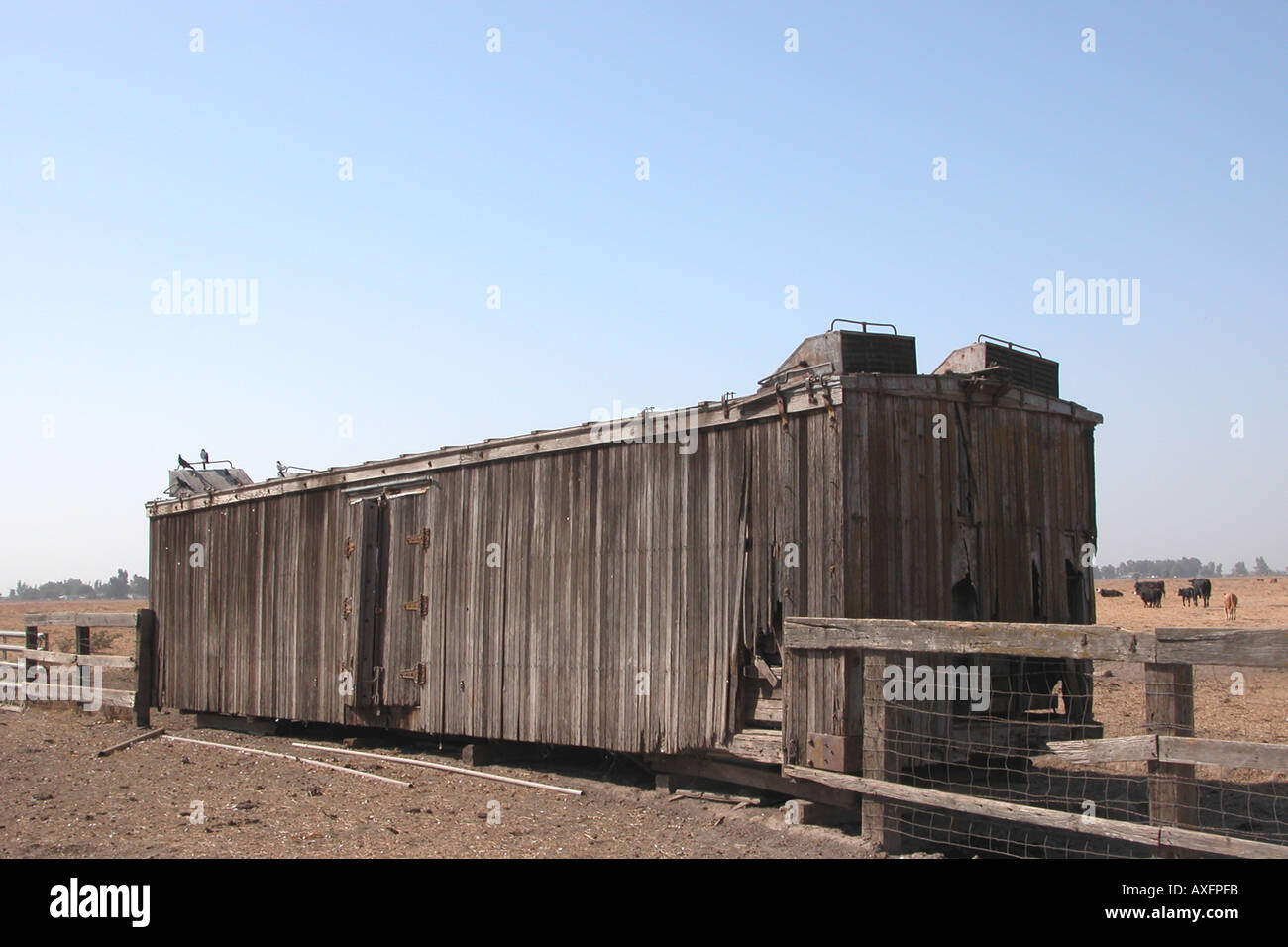 wood 'reefer' refrigeration railroad car from the late 1800's Stock Photo Alamy