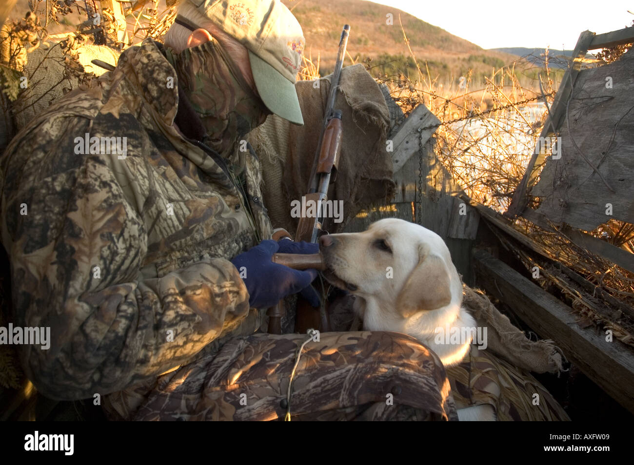 A duck hunter shows a duck call to a Labrador retriever while hunting