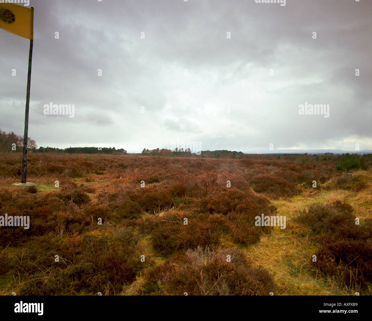 Culloden Moor, Scene Of Historic Jacobite Defeat 1746, Inverness