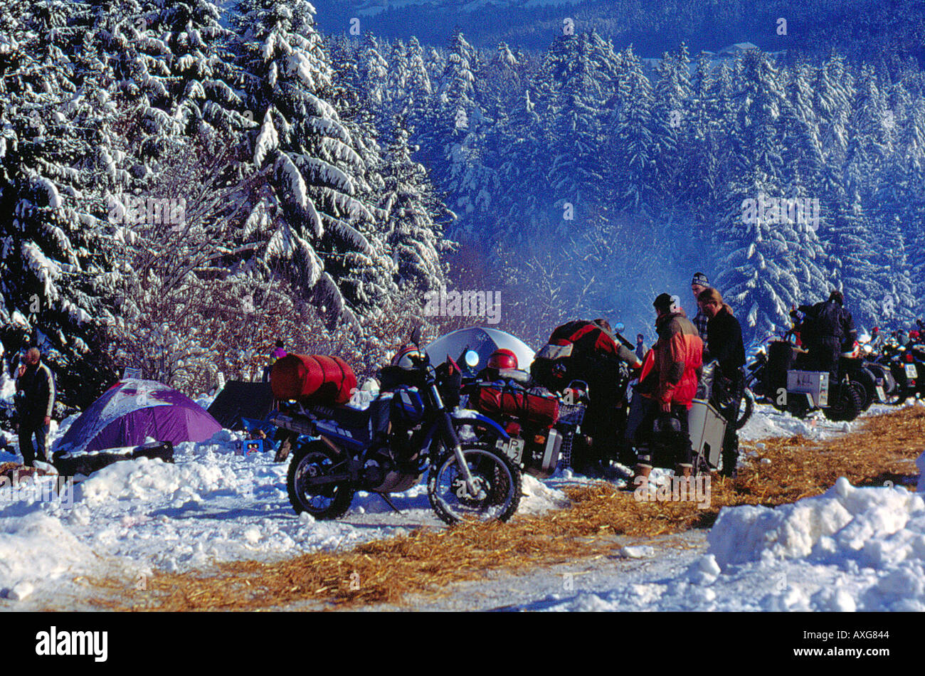 Elefantentreffen Solla Thurmannsbang Bayerischer Wald Bavaria Germany. Photo by Willy Matheisl Stock Photo