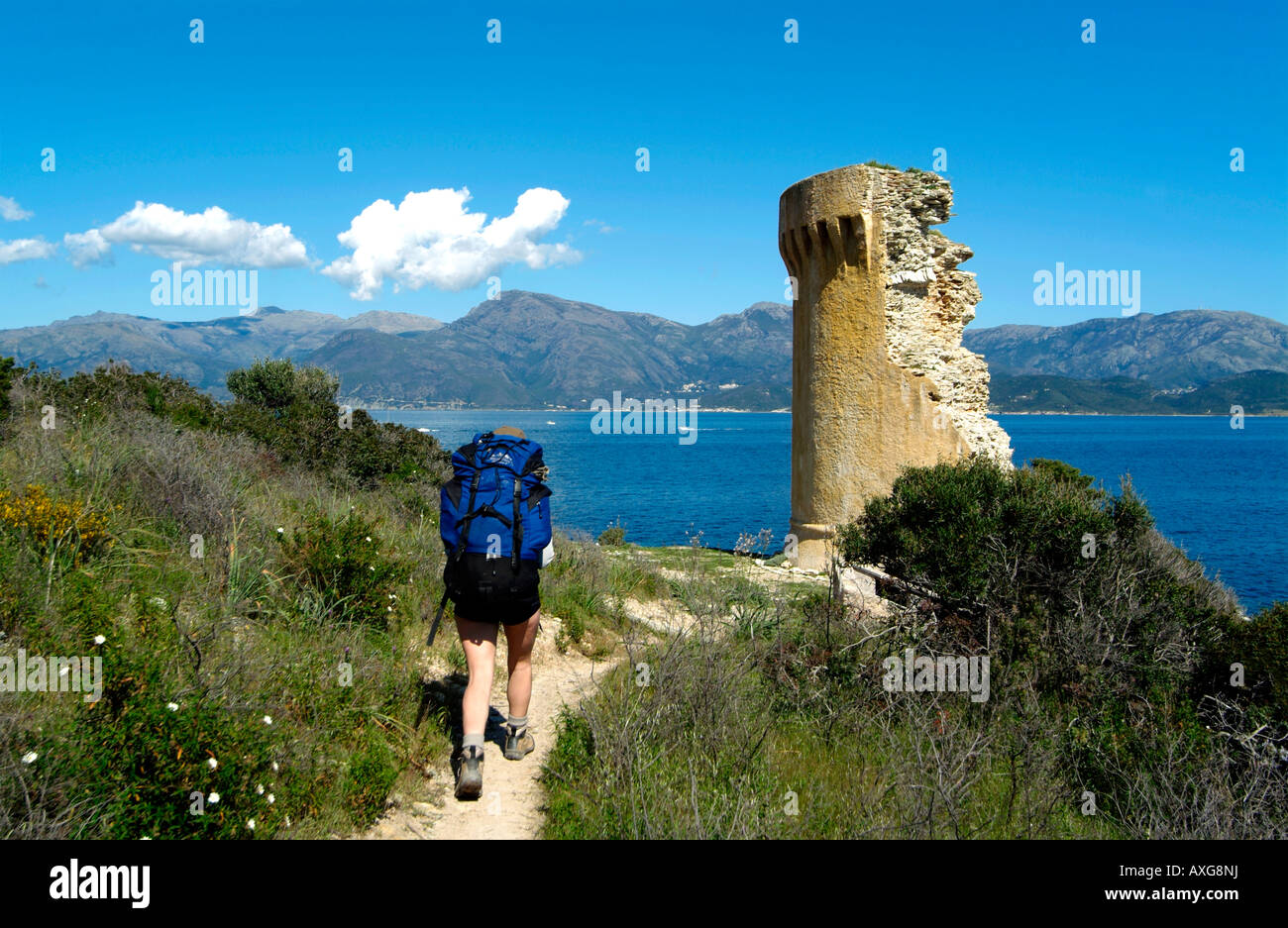 Mortella genovese watch tower.Trekking in Agriates desert Natural Park.Corsica Island.France Stock Photo