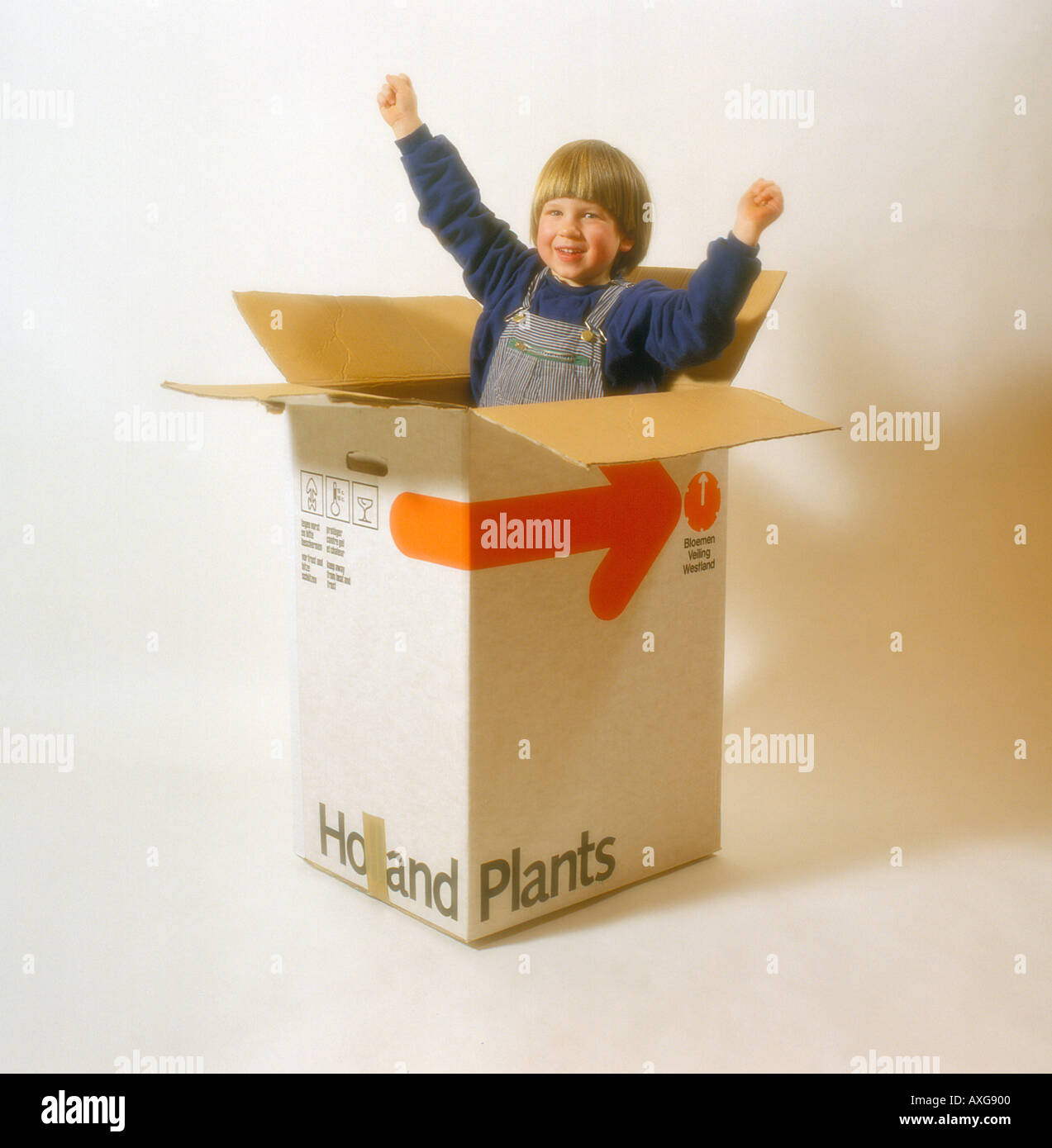 child playing and hiding in cardboard box. Photo by Willy Matheisl Stock Photo