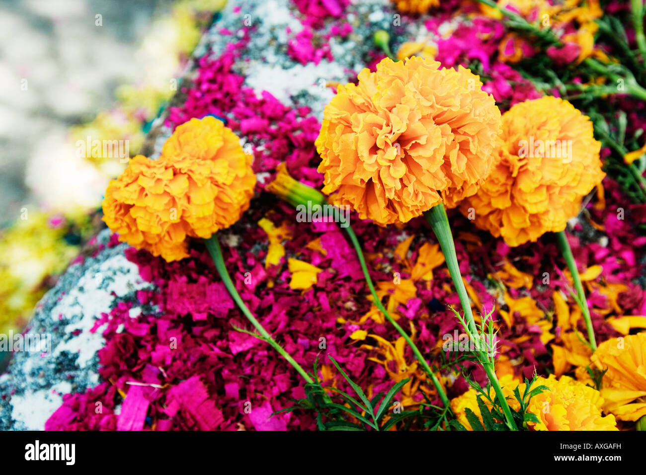 Mexican funeral flowers hi-res stock photography and images - Alamy
