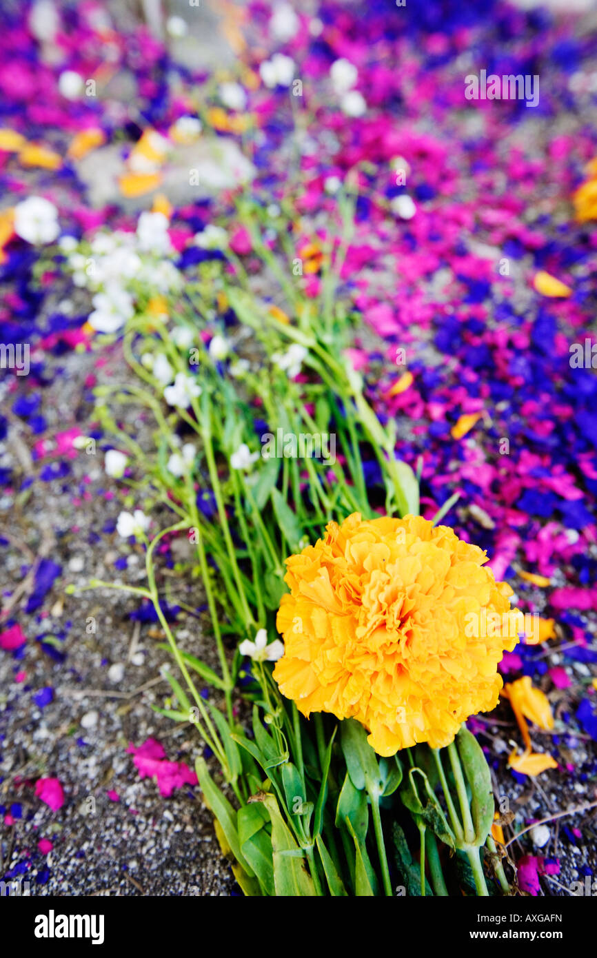 Mexican funeral flowers hi-res stock photography and images - Alamy