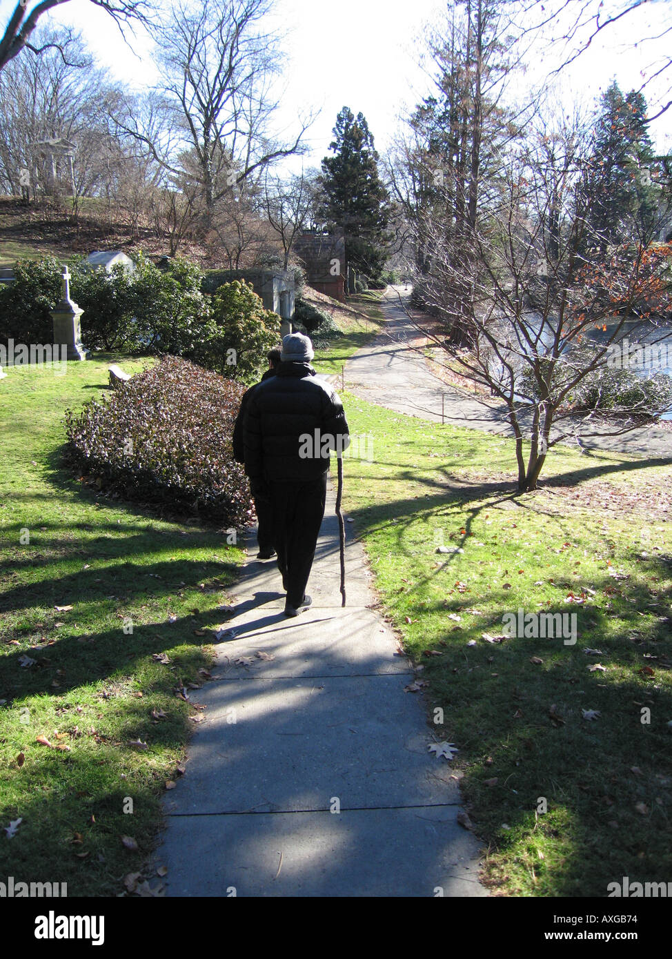 Man With Walking Stick Strolling Through The Mount Auburn Cemetery Cambridge MA Man With Walking Stick Strolling Through The Mount Auburn Cemetery Cambridge MA