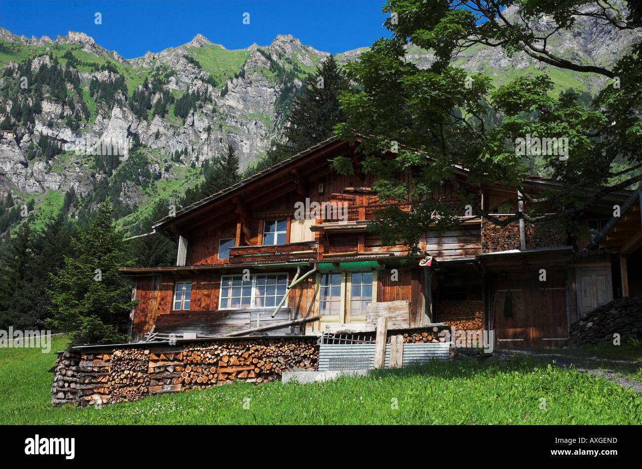 House in Wengen Bernese Oberland Switzerland Stock Photo Alamy