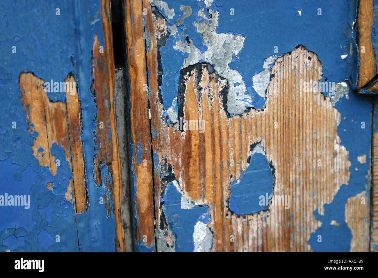 Paint peeling from a door Stock Photo Alamy