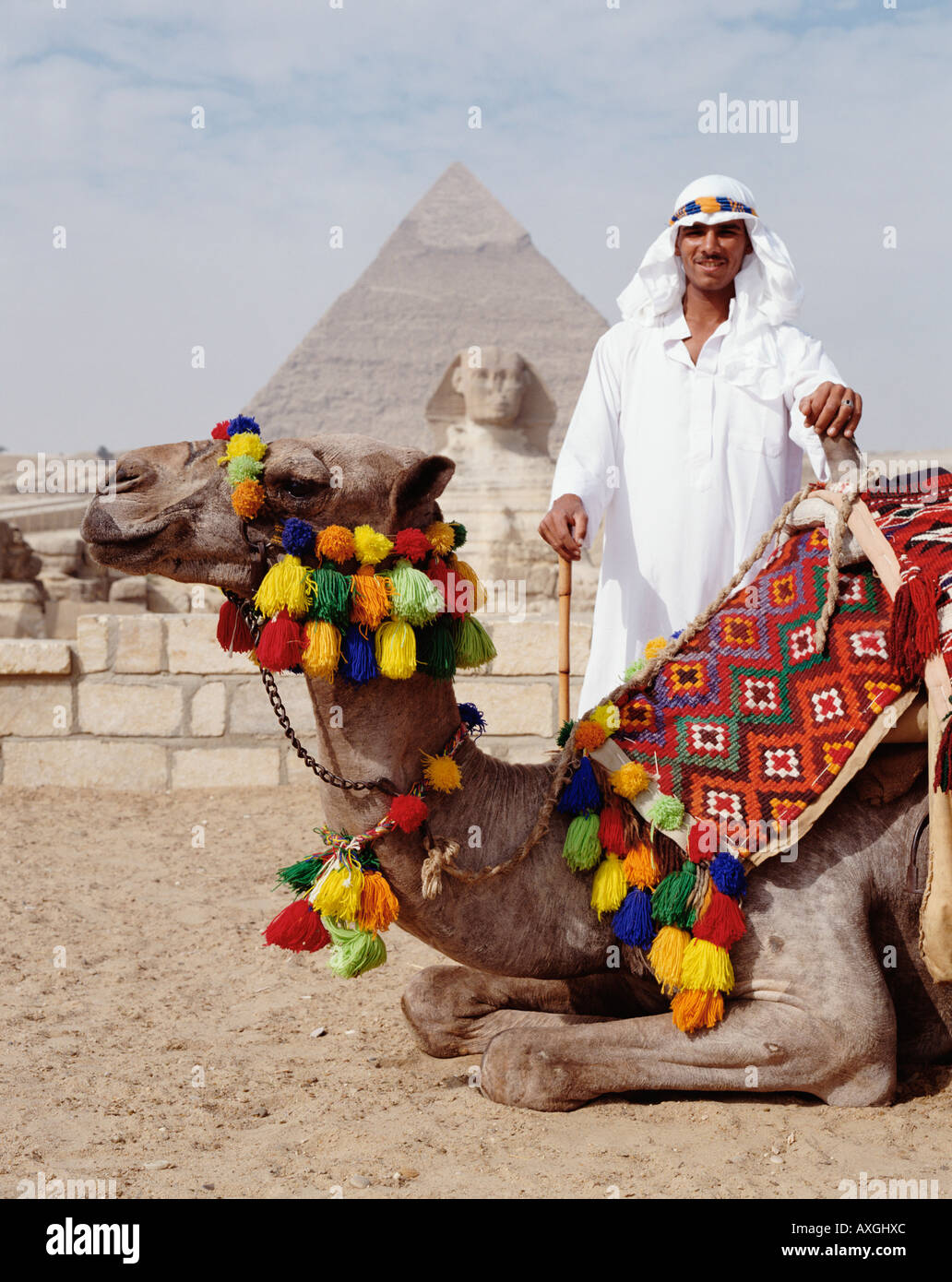 Camel Driver and Camel in front of Sphinx and Pyramid, Cairo, Egypt, North Africa Stock Photo