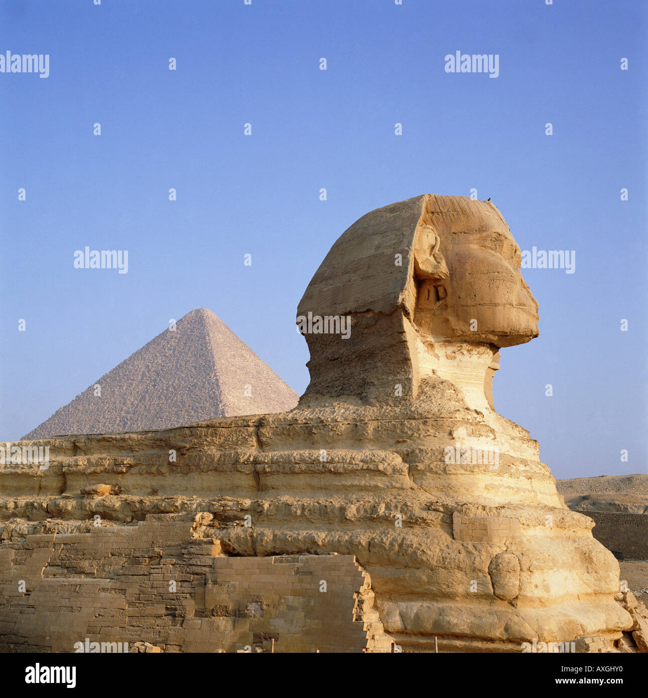 The Sphinx and Pyramid, Giza, Cairo, Egypt, North Africa Stock Photo