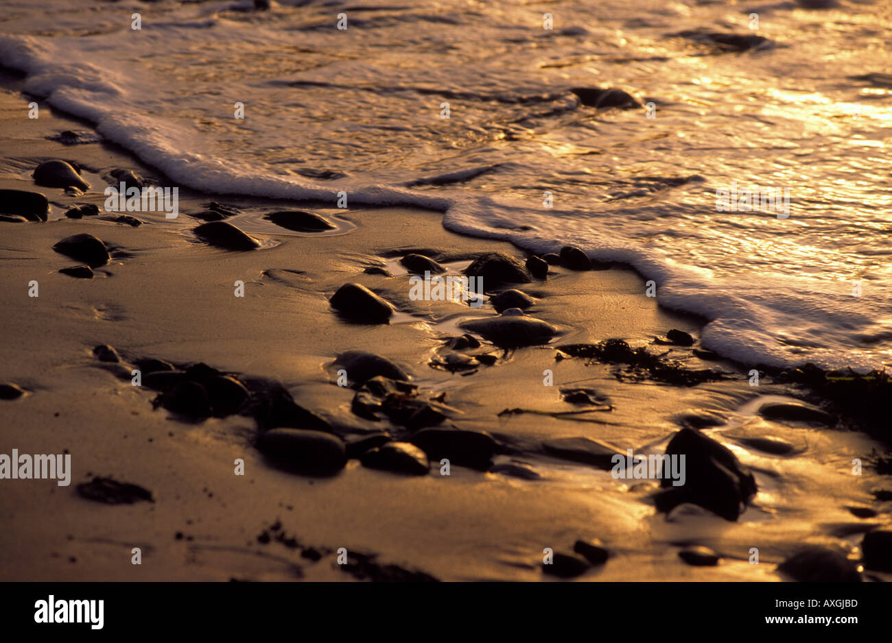 Backlight surf hi-res stock photography and images - Alamy
