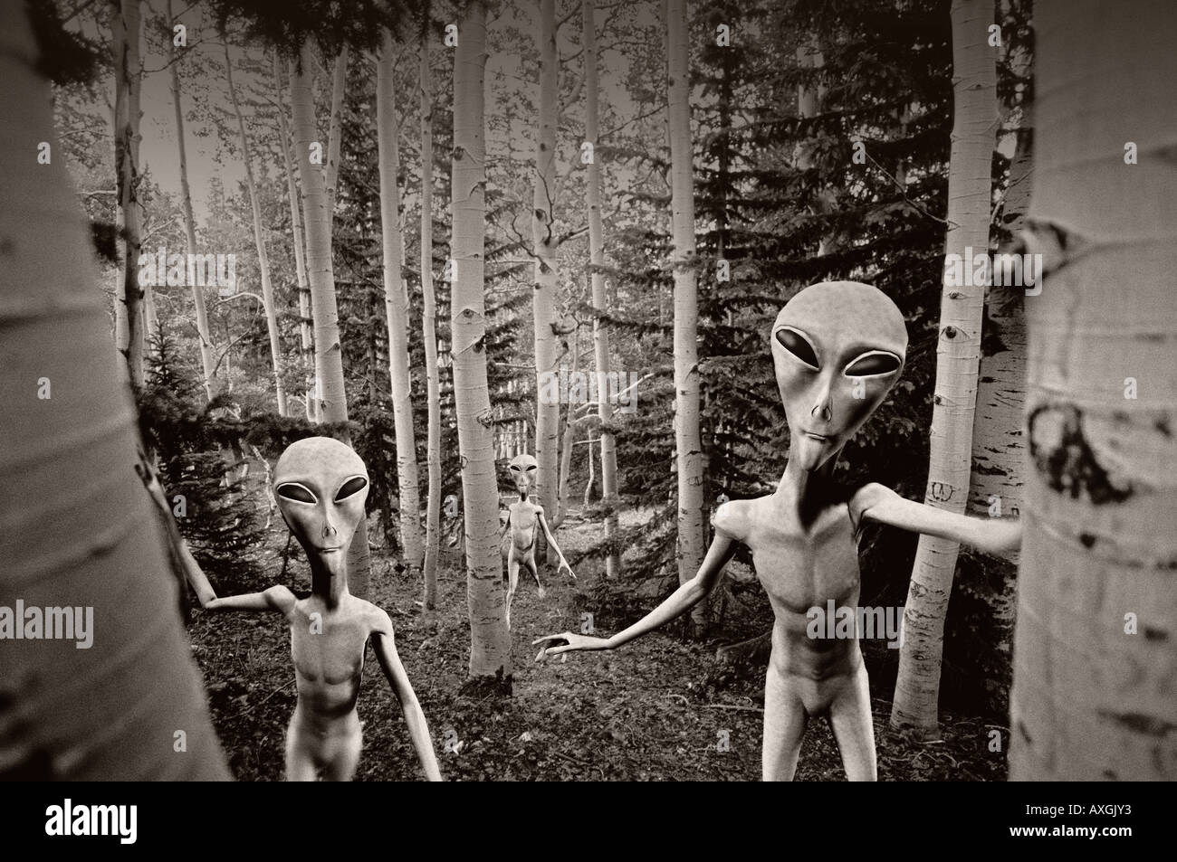 Alien Encounter (B&W) Stock Photo