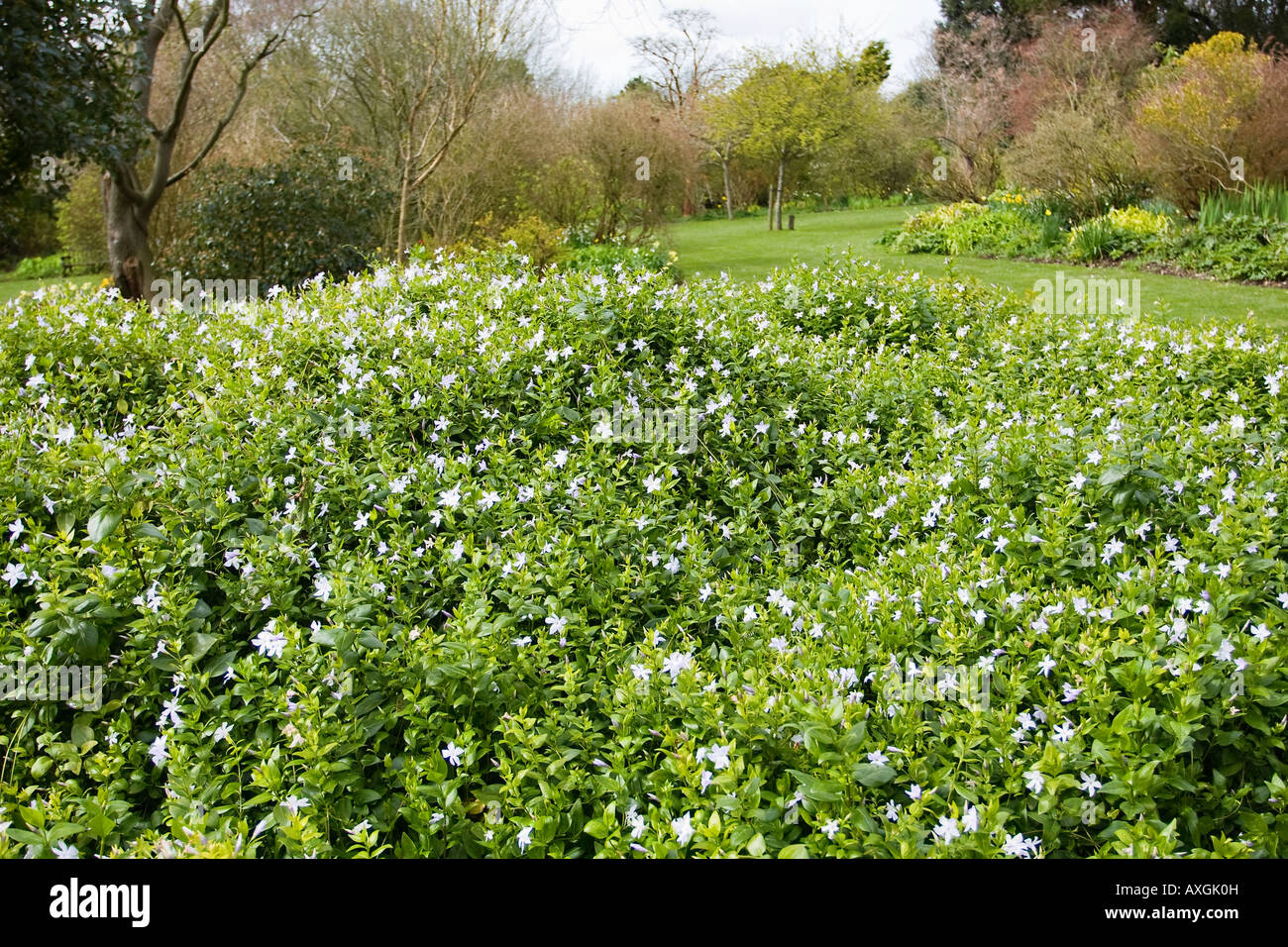 Highdown Gardens in Spring. Worthing, West Sussex, England Stock Photo