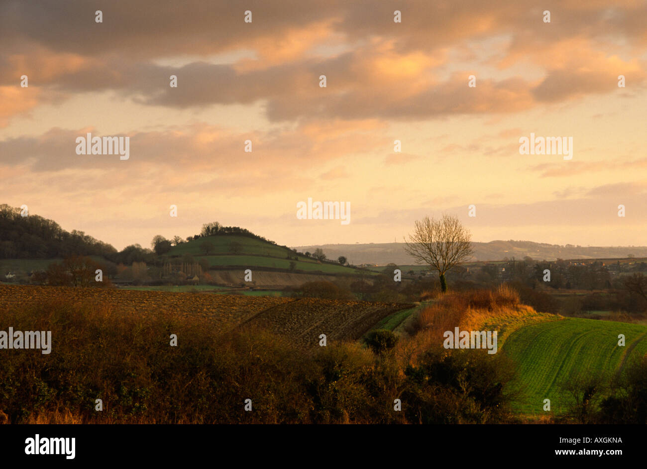 View across the South Somerset landscape at sunset Stock Photo