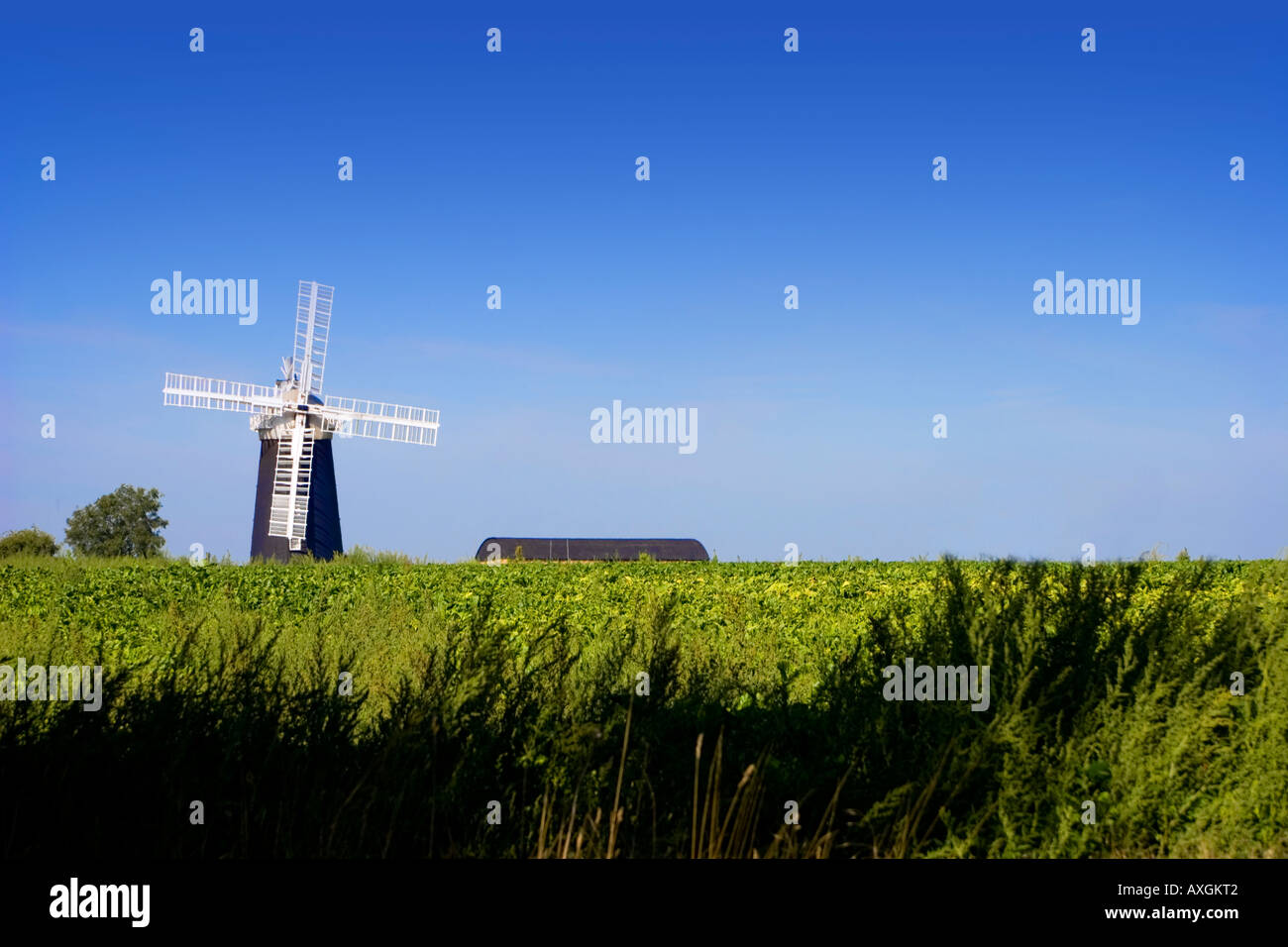 Restored windmill at Pakenham Suffolk England UK Stock Photo Alamy
