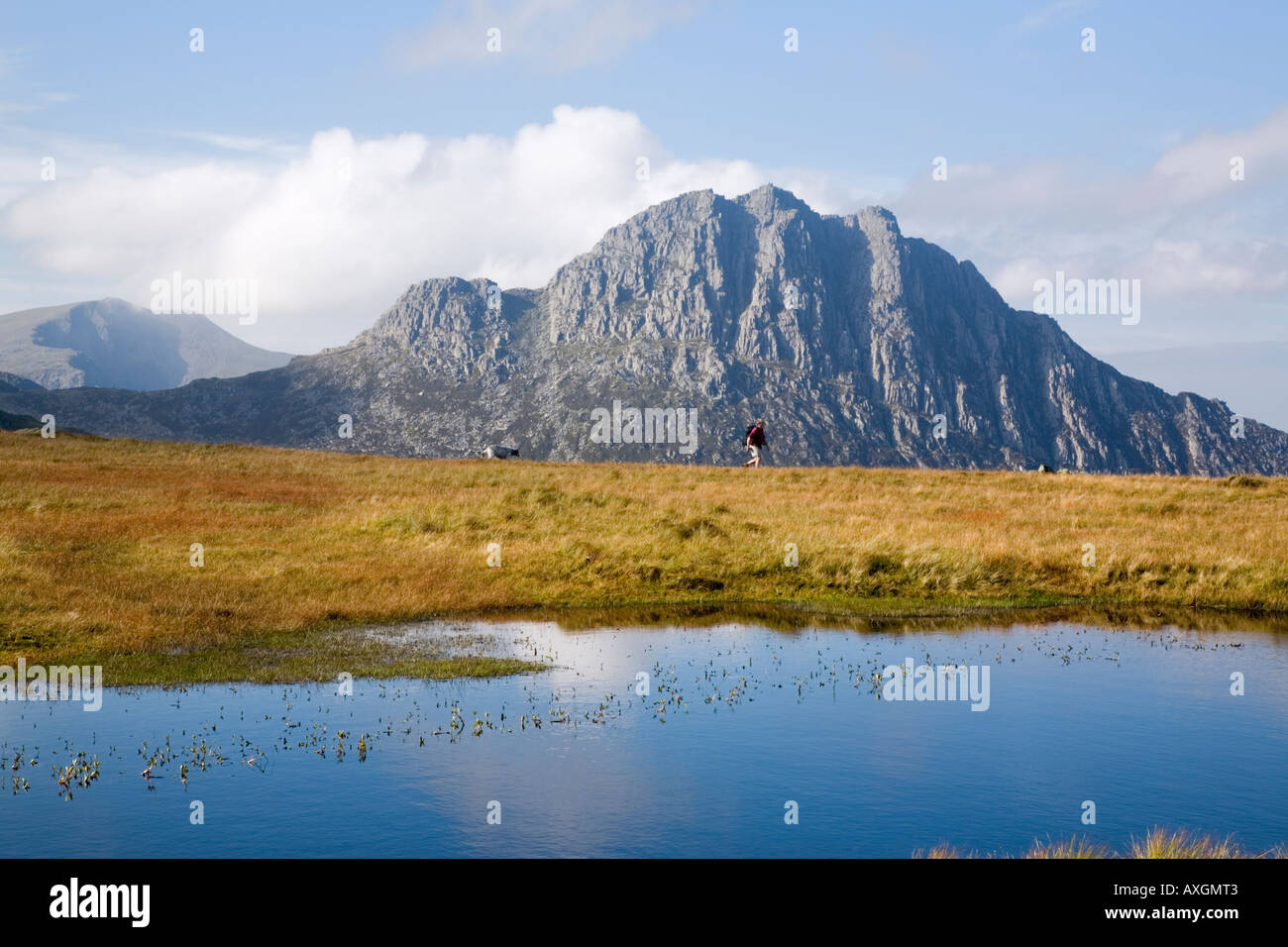 Mount Tryfan mountain peak summit east side across Nant yr Ogof with upland pool in foreground Snowdonia National Park Conwy North Wales UK Britain Stock Photo