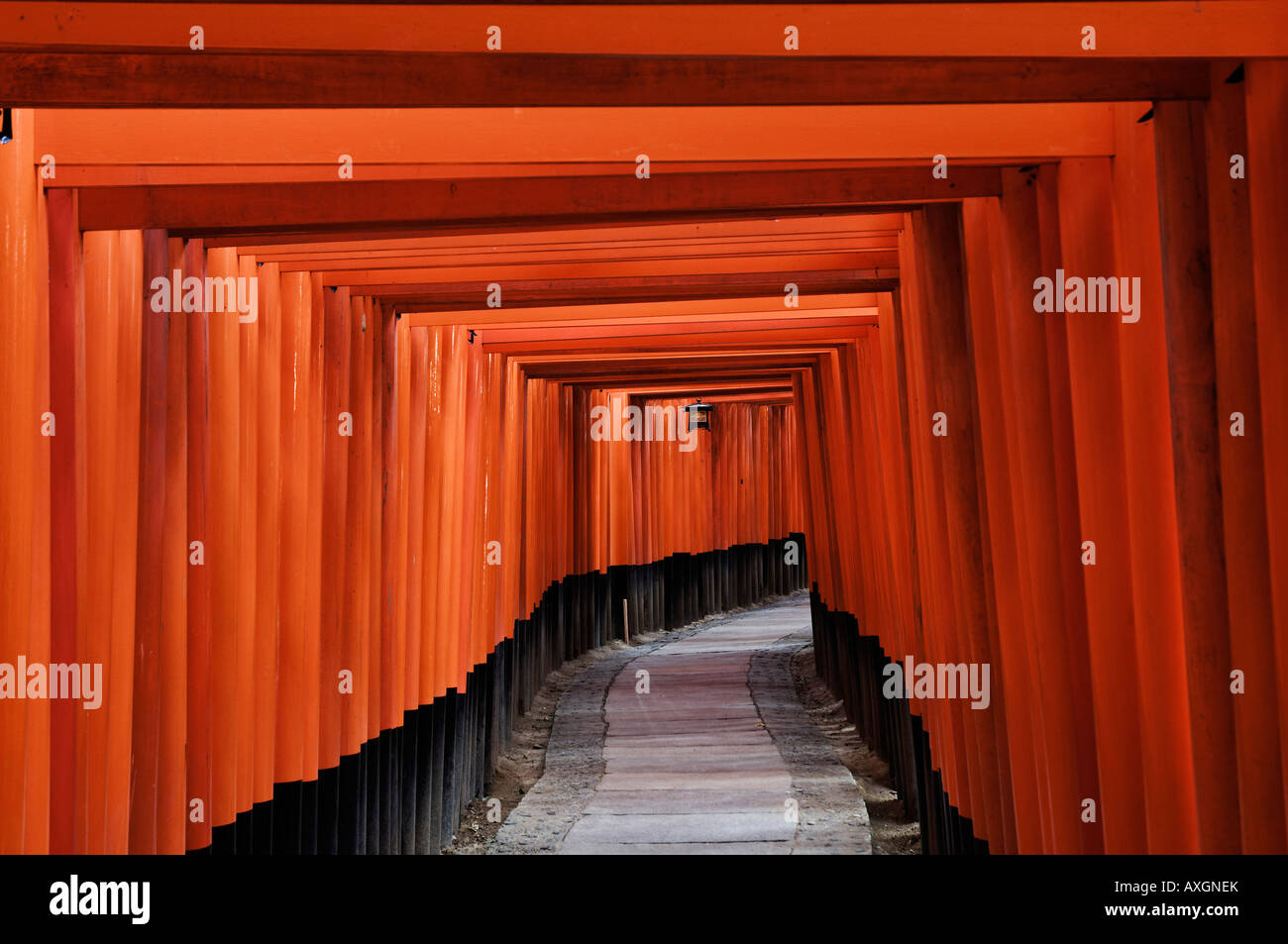 Torii Gateways, Fushimi Inari Taisha Shrine, Kyoto, Kansai, Honshu, Japan Stock Photo
