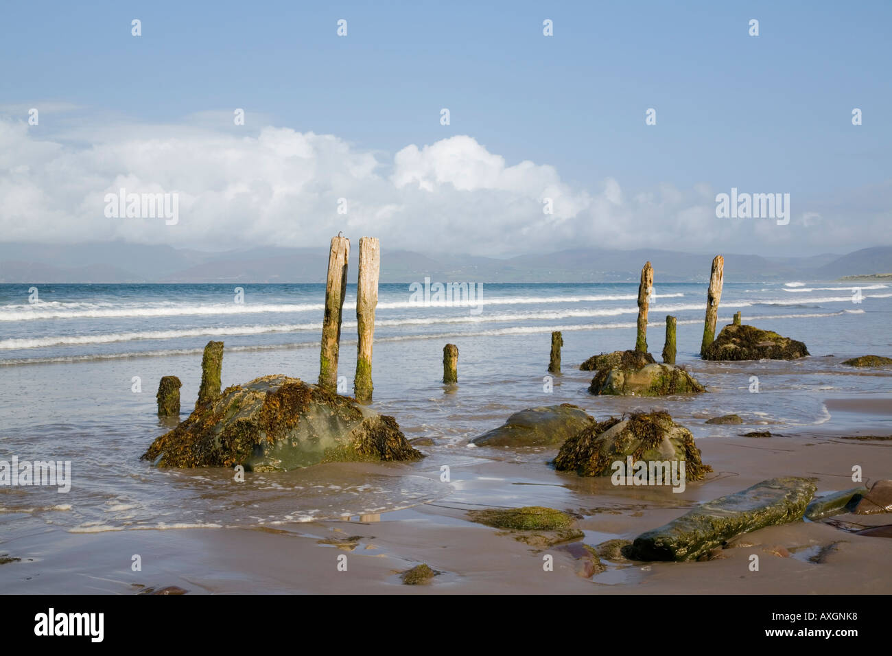 Get Storenes strand Desktop Wallpaper Free