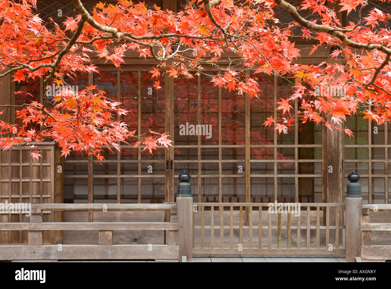 Tree and Building Exterior, Kansai, Honshu, Japan Stock Photo