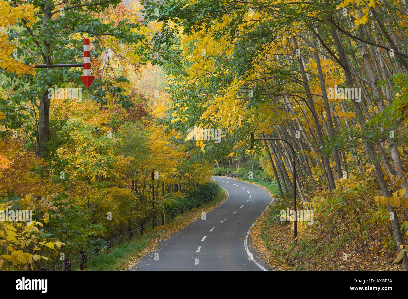 Shikotsu-Toya National Park, Hokkaido, Japan Stock Photo