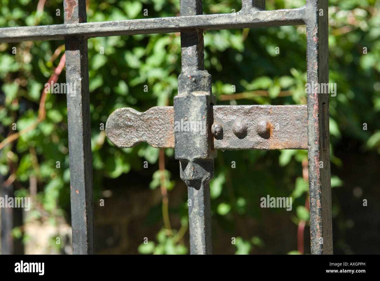 Old iron gate (detail) with bolt Stock Photo Alamy