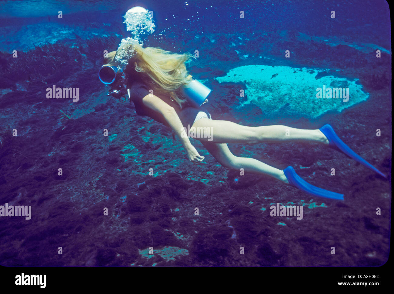 Female skin diver hires stock photography and images Alamy