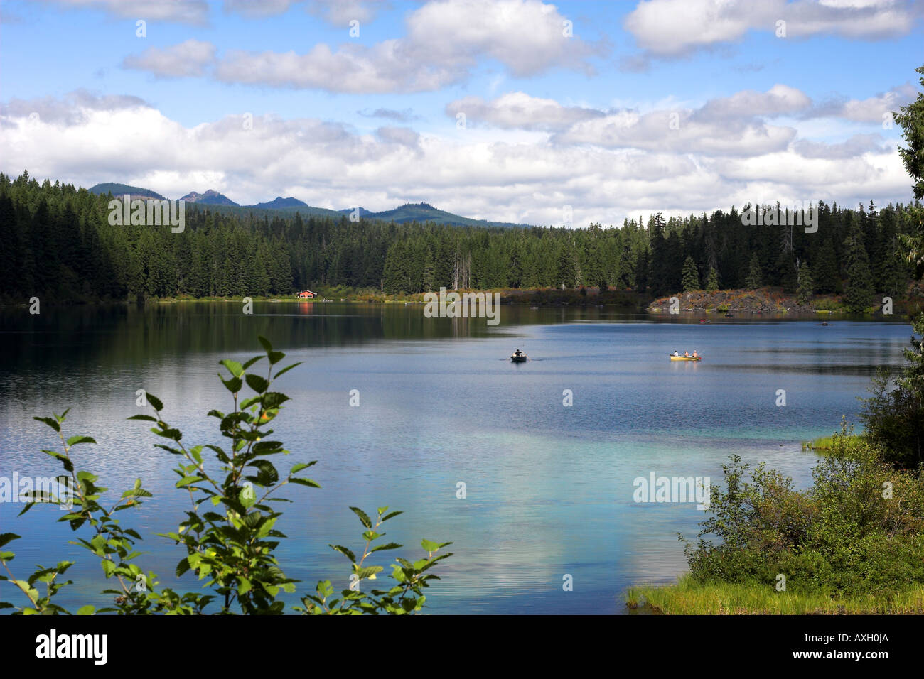 Clear Lake Near Santiam Pass, Oregon Cascades Stock Photo