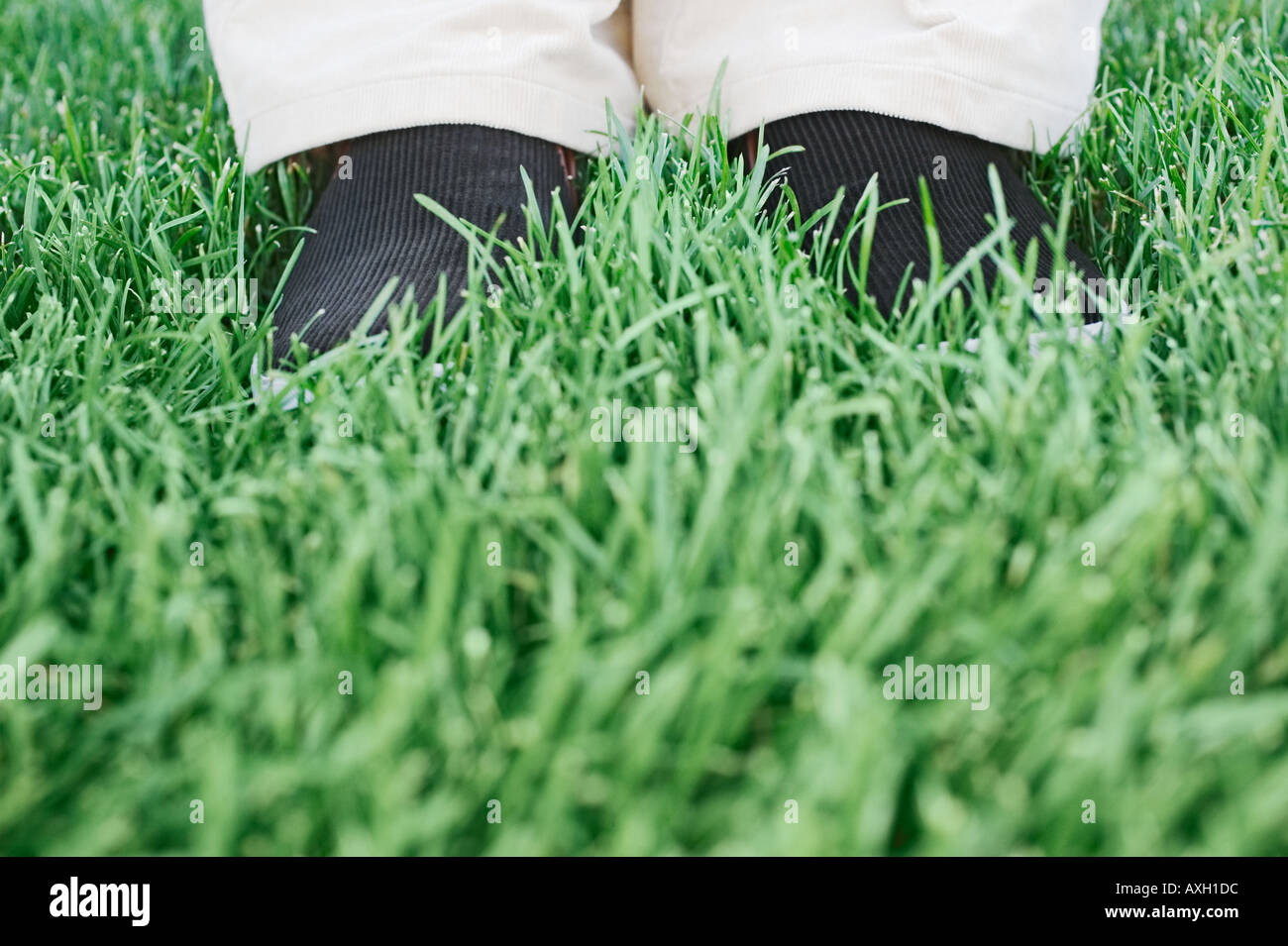 Rooted feet hi-res stock photography and images - Alamy