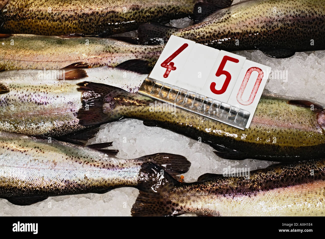 Display Of Fresh Fish At Fish Market In Venice Stock Photo Alamy