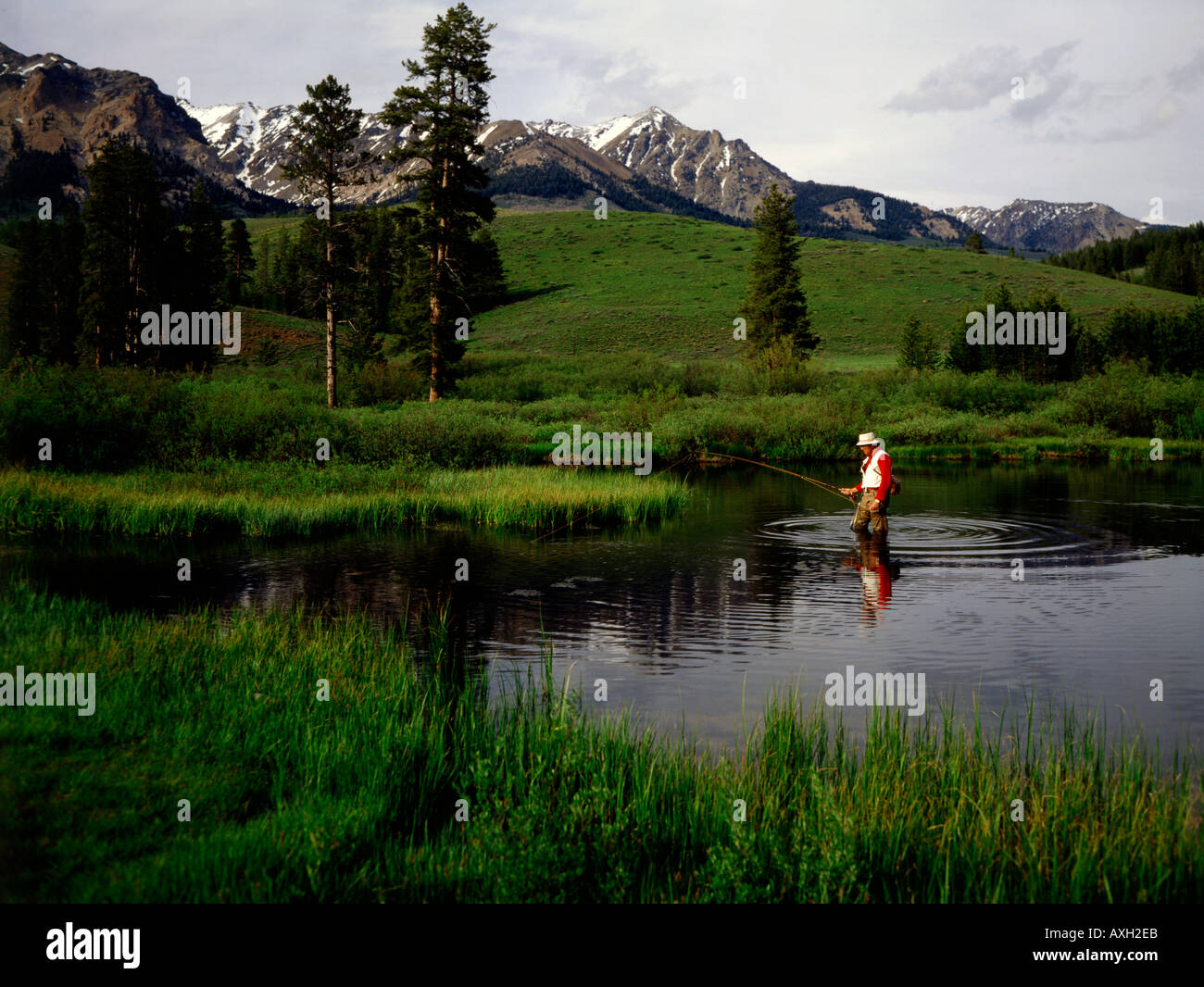 Hardy fishing hi-res stock photography and images - Page 9 - Alamy