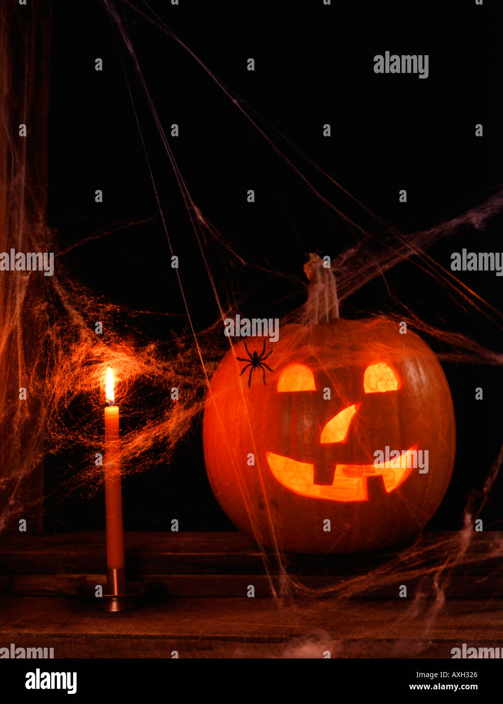 Grinning Jack O Lantern covered with spider webs and a spider with ...