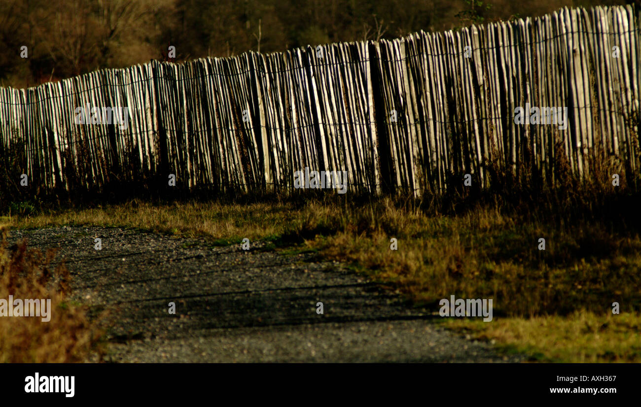 wooden fencing Stock Photo