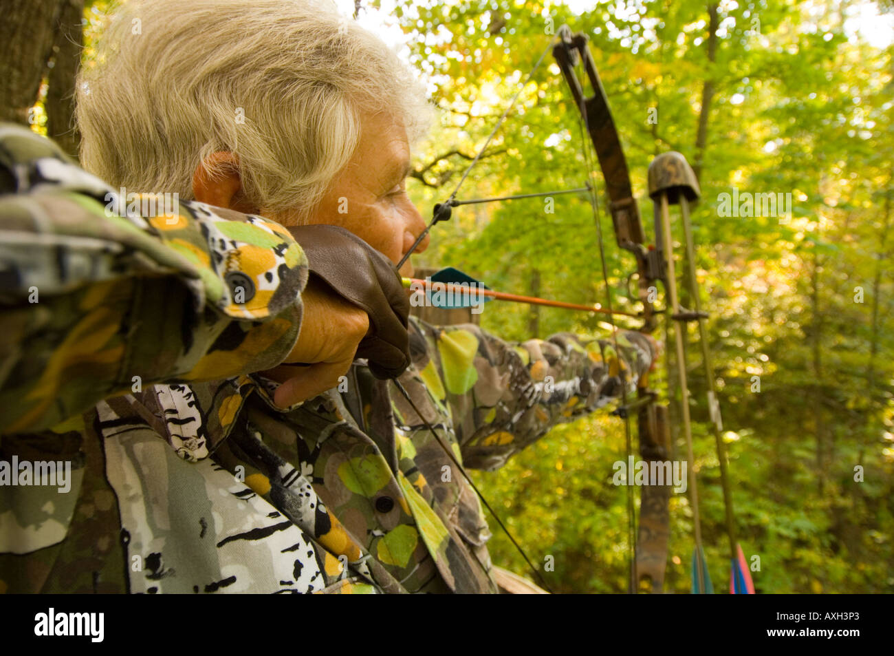 A WOMAN BOW HUNTER HUNTING WHITE TAIL DEER TAKES AIM FROM A TREE STAND WITH PARKER COMPOUND BOW