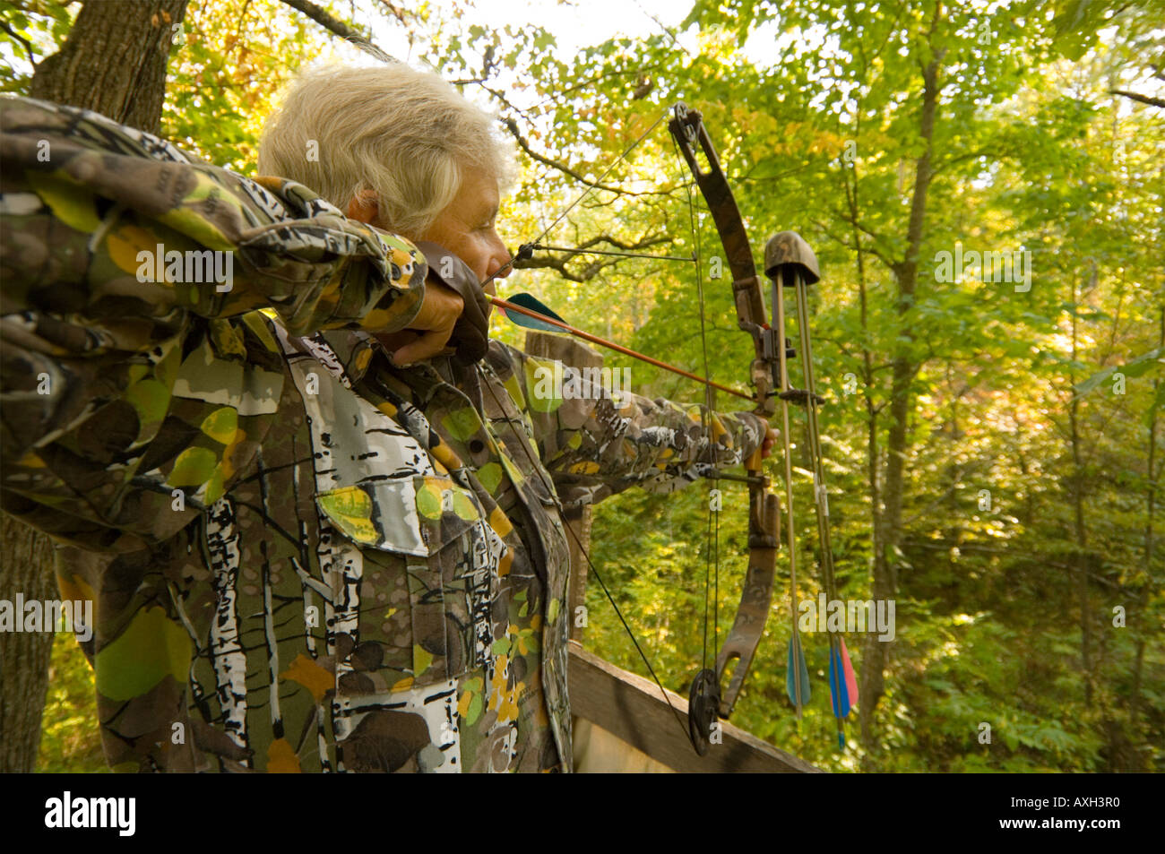 A WOMAN BOW HUNTER HUNTING WHITE TAIL DEER TAKES AIM FROM A TREE STAND