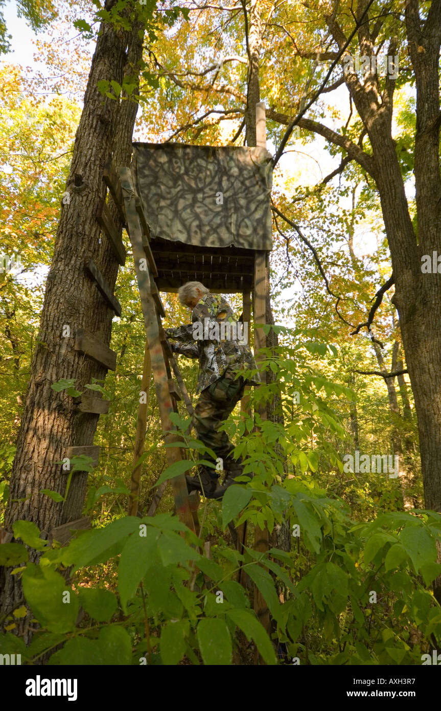 Bow hunter tree stand hires stock photography and images Alamy