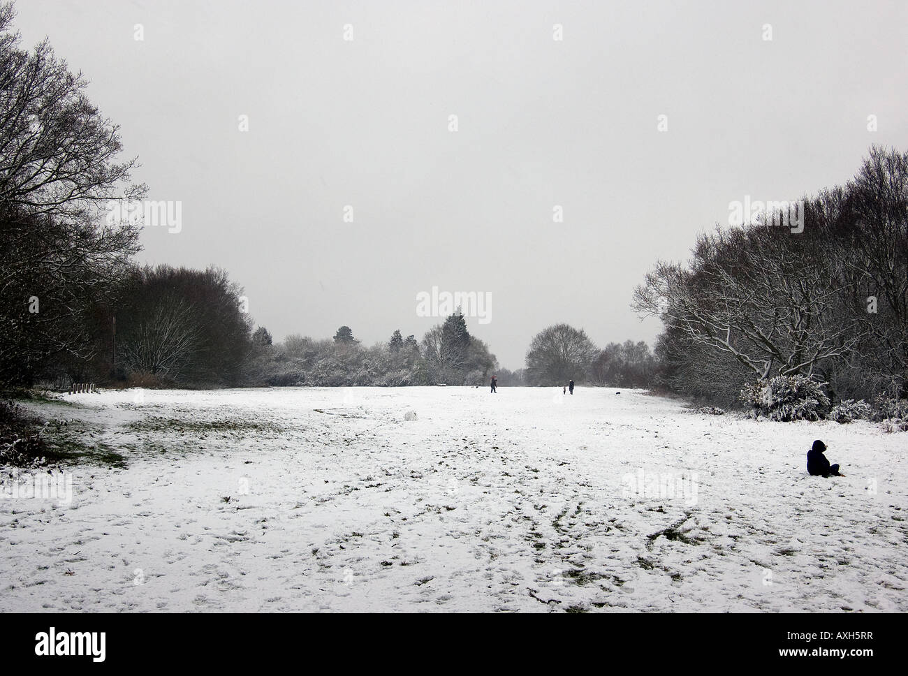 Galleywood Common with snow. Stock Photo
