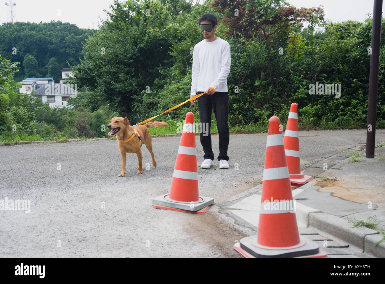 Young man walking with guide dog Stock Photo